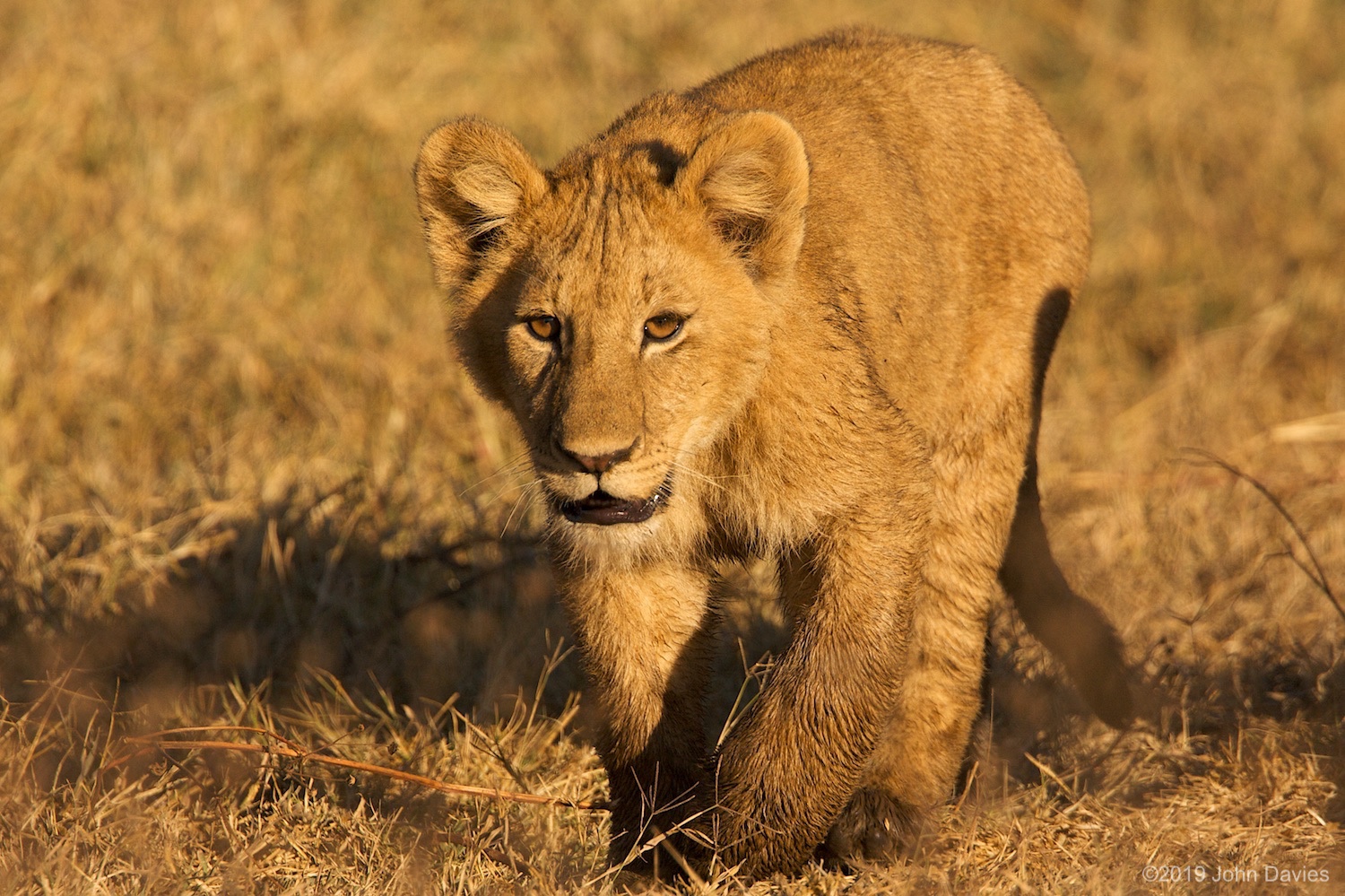 Tanzania20080061
