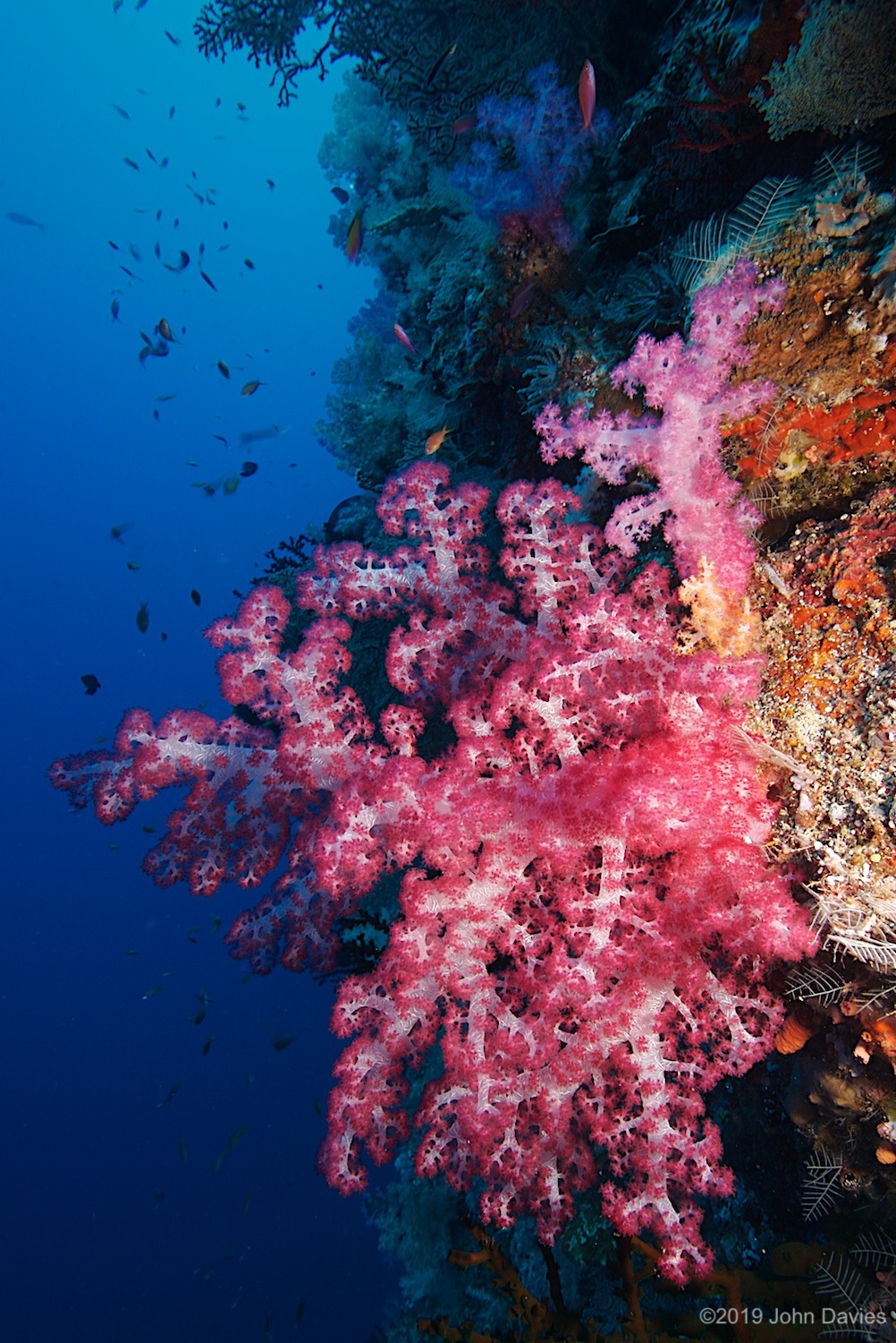 Palau20060039
